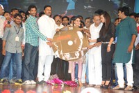 Prabhanjanam Audio Launch